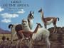 Gold of the Andes (2 Vol. Set): The Llamas, Alpacas, Vicu�as and Guanacos of South America