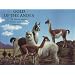 Gold of the Andes (2 Vol. Set): The Llamas, Alpacas, Vicu�as and Guanacos of South America