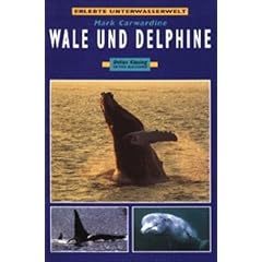 Wale und Delphine