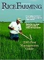 Rice Farming
