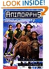 The Hidden (Animorphs, Book 39)