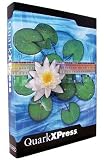 QuarkXPress Passport 5.0 CD W32