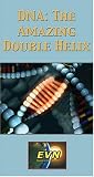 Review   / DNA: The Amazing Double Helix