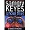 Audio Books My Daughter and I Have Finished
