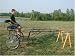 Easy Entry mini cart with heavy duty wheels