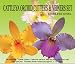 Cattleya Orchid Gumpaste Cutter Set
