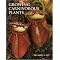 The World's Best Books on House Plants