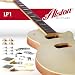 Alston Guitars LP Style Arched Top Single Cutaway Electric Guitar DIY Builder Kit | Bolt-On