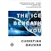 The Ice Beneath You: A Novel