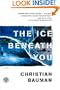 The Ice Beneath You: A Novel
