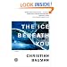 The Ice Beneath You: A Novel