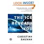 The Ice Beneath You: A Novel