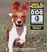 Books : Wild Discovery Guide to Your Dog: Understanding and Caring for the Wolf Within