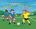 Book Soccer Counts!