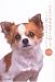 『小さないのちはどこへ行く?―ペットを飼う人たちに知ってほしいこと』の写真