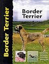 Border Terrier (Pet love)