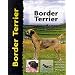 Border Terrier (Pet Love)