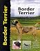 Border Terrier (Pet love)
