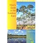 Hiker's Guide to the Sunshine State (Wild Florida)