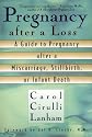 Pregnancy After a Loss: A Guide to Pregnancy After a Miscarriage, Stillbirth, or Infant Death