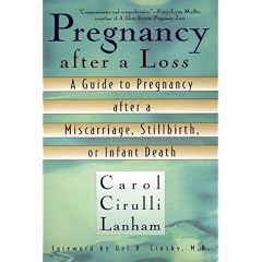Pregnancy after a Loss: A Guide to Pregnancy after a Miscarriage, Stillbirth or Infant Death