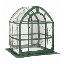 PlantHouse 5' Clear