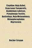 Elapidae: Naja Ashei, Oxyuranus Temporalis, Aspidelaps Lubricus, Pseudonaja Textilis, Austrelaps, Naja Melanoleuca, Rhinoploceph-