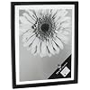 Umbra Document 13-Inch-by-16-Inch Frame, Black