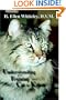 Understanding and Training Your Cat or Kitten