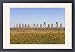 Framed Prints of Ahu Tongariki, the largest ahu on the Island, Tongariki is a row of 15 giant from Robert Harding