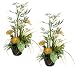 TWO Pre-Potted 30" Artificial Bamboo Protea Mixed Flowers and Plants Arrangement
