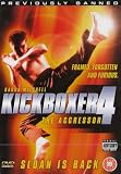 Kickboxer 4: The Aggressor