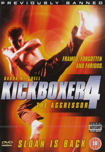 Kickboxer 4: The Aggressor