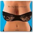 Big Book of Breasts