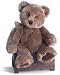 Sidwell bear