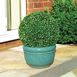 40cm Leaf Effect Topiary Ball Garden Feature