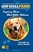 Lost Souls: FOUND! Inspiring Stories About Golden Retrievers