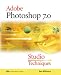 Adobe(R) Photoshop(R) 7.0 Studio Techniques