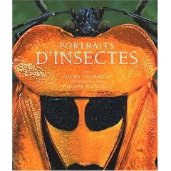 Portraits d'insectes
