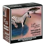 Light Mountain Natural Hair Color & Conditioner, Burgundy, 4 oz (113 g) (Pack of 3)