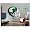 Michigan State Fathead NCAA Helmets ( Michigan State )