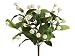 Faux 14 Clover Bush x7 White (Pack of 12)