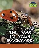 The war in your backyard