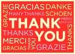 Galison Typography Thank You Note Cards (29218)