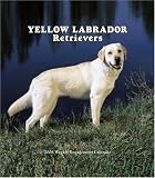 Labrador Retrievers, Yellow Weekly 2006 Calendar