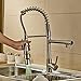 Rozinsanitary Contemporary Single Handle Two Spouts Kitchen Sink Faucet With Led Pull Out Sprayer Kitchen Faucet Brushed Nickel