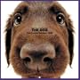 Artlist Collection the Dog 2005 Calendar Flat-Coated Retriever (Multilingual Edition)