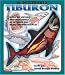 Al descubierto el tiburon / Uncover A Shark: Echa Un Vistazo Tridemensional al Interior Del Gran Tiburon Blanco! (Al Descubierto)