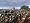 Medieval II: Total War (PC DVD)