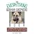 The Everything German Shepherd Book: A Complete Guide to Raising, Training, And Caring for Your German Shepherd (Everything: Pets)